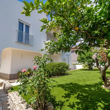 Brisa Do Mar T1 With Garden Access Appartement *